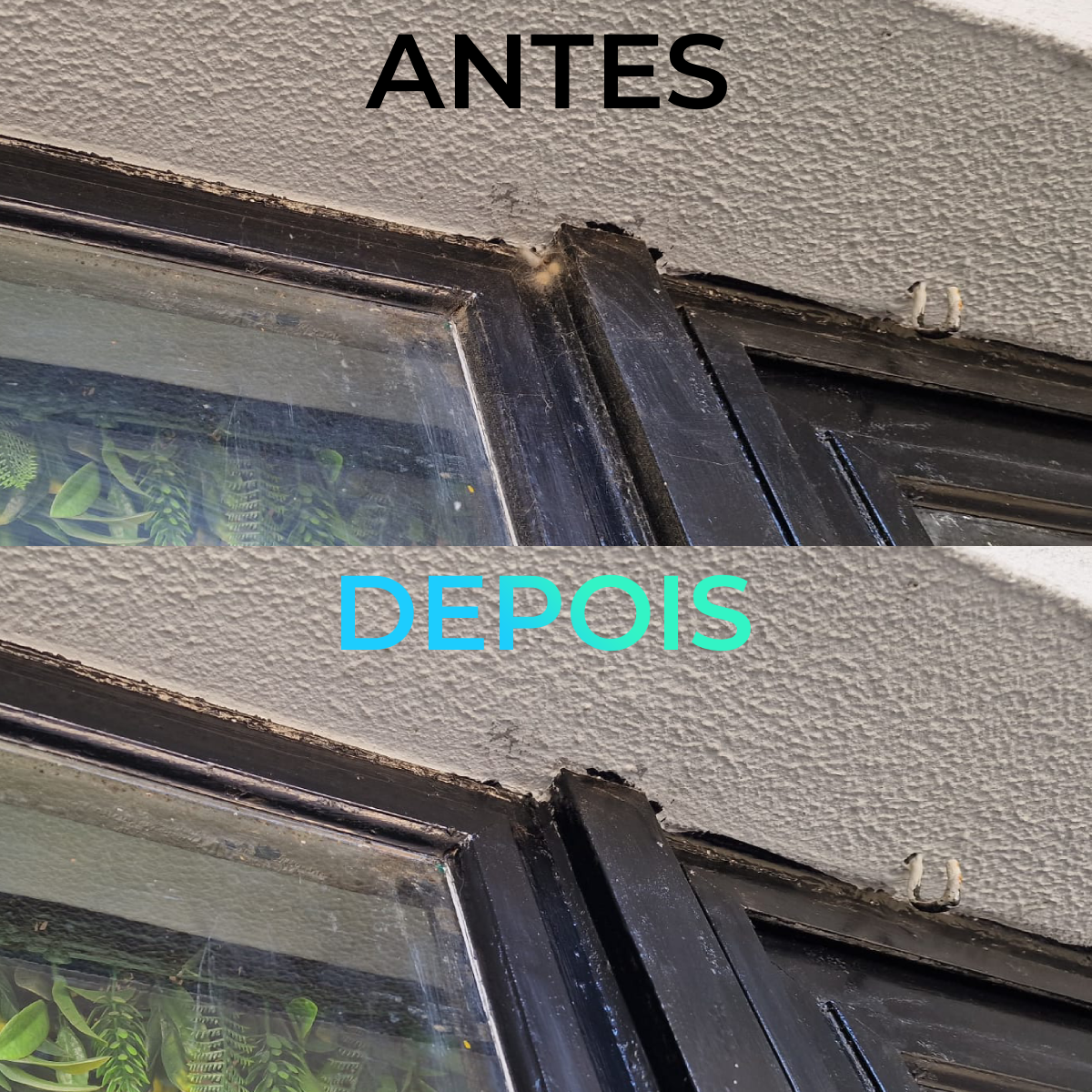 Transformacao de moldura de janela