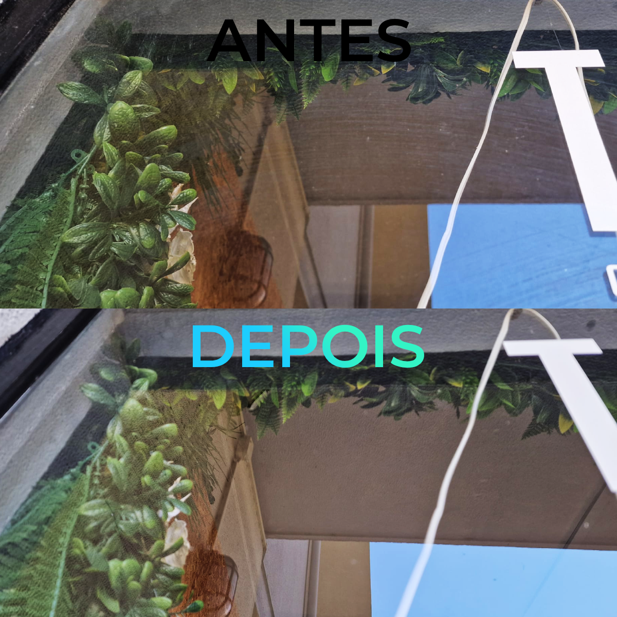 Transformacao de montra com plantas