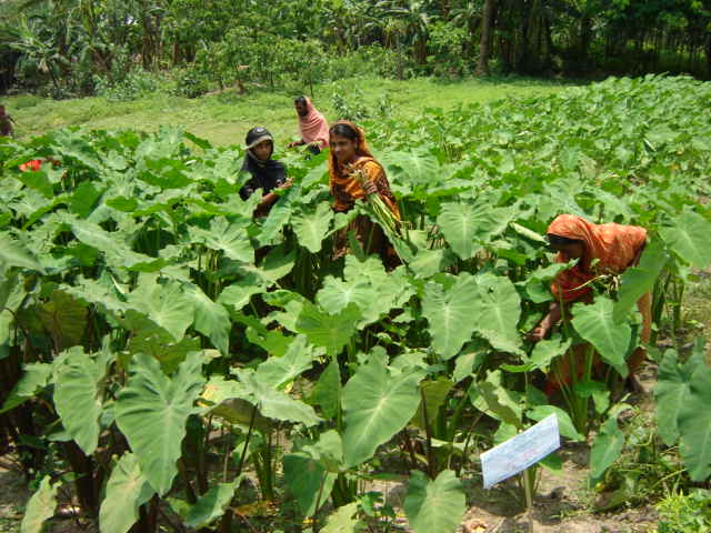 PRIDE Bangladesh sustainable agriculture initiative