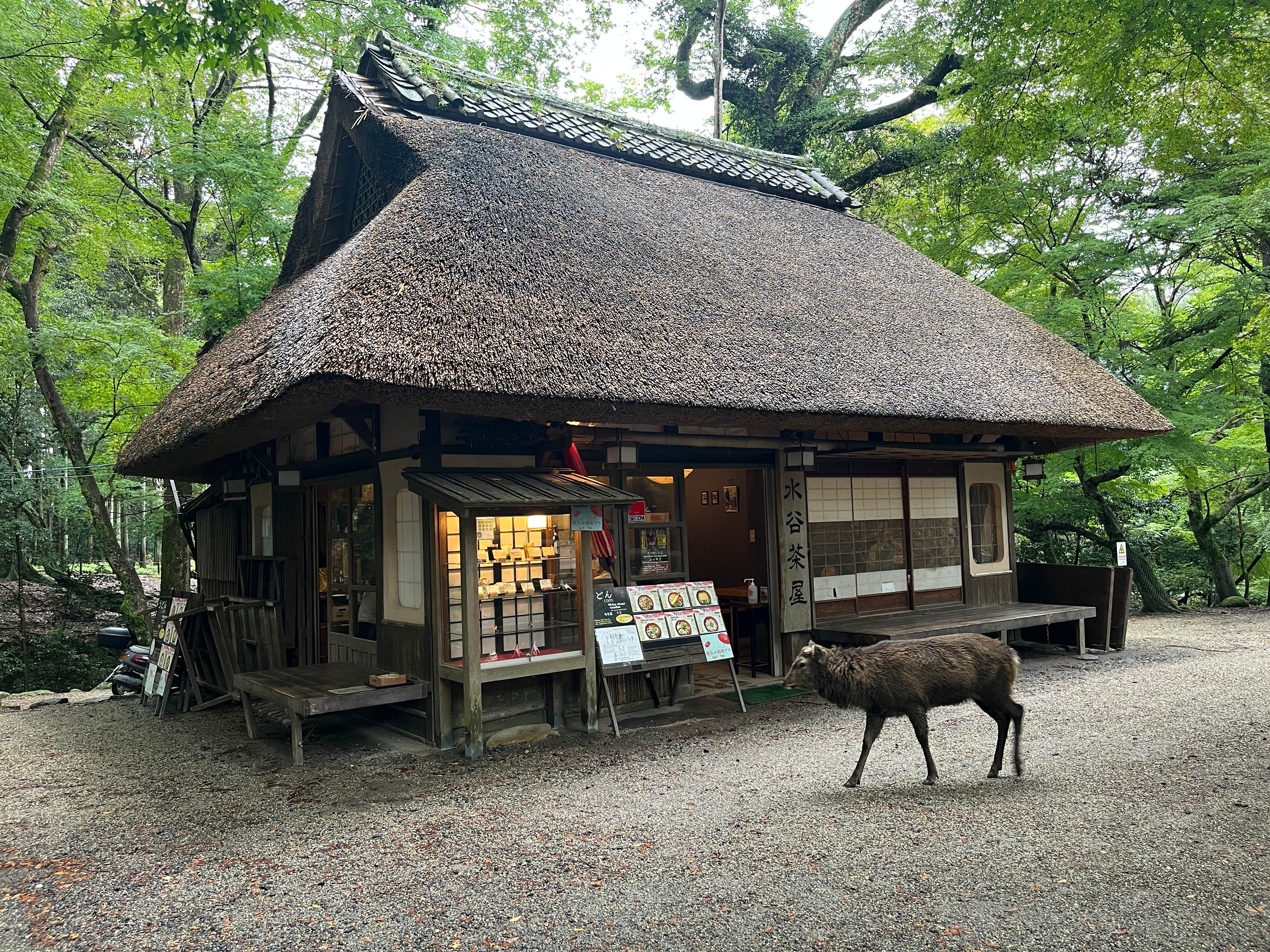 Traditional tea house with deer