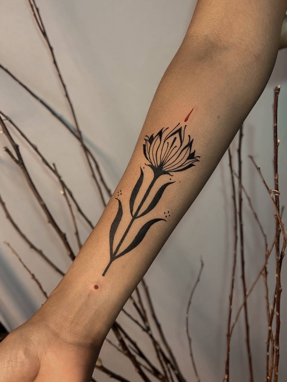 Flor minimalista com talo elegante e detalhe em cor