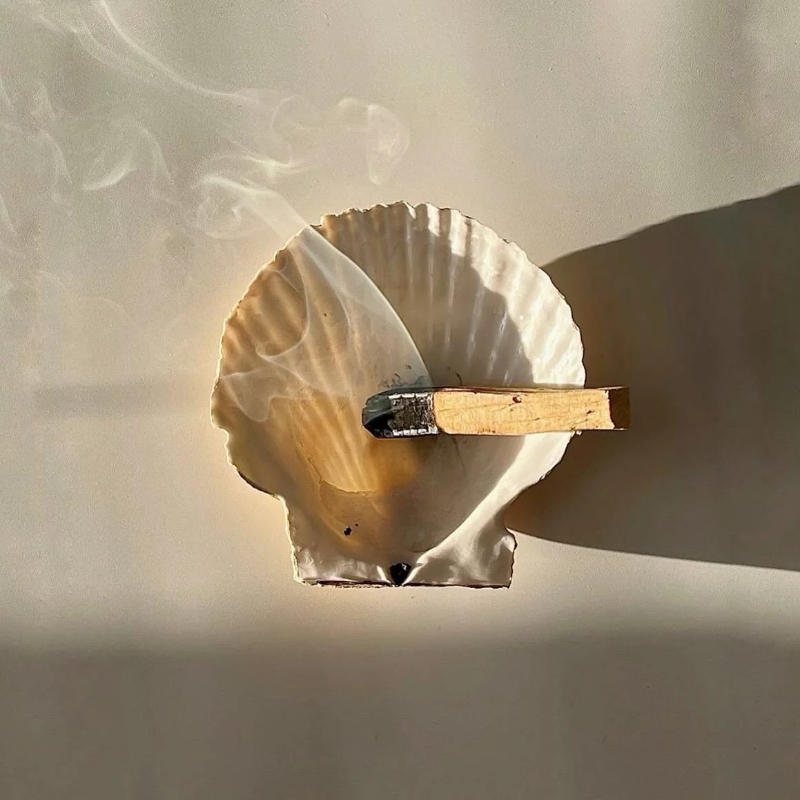 Palo santo burning in a shell with rising smoke