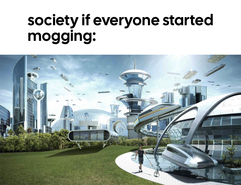 Meme 24