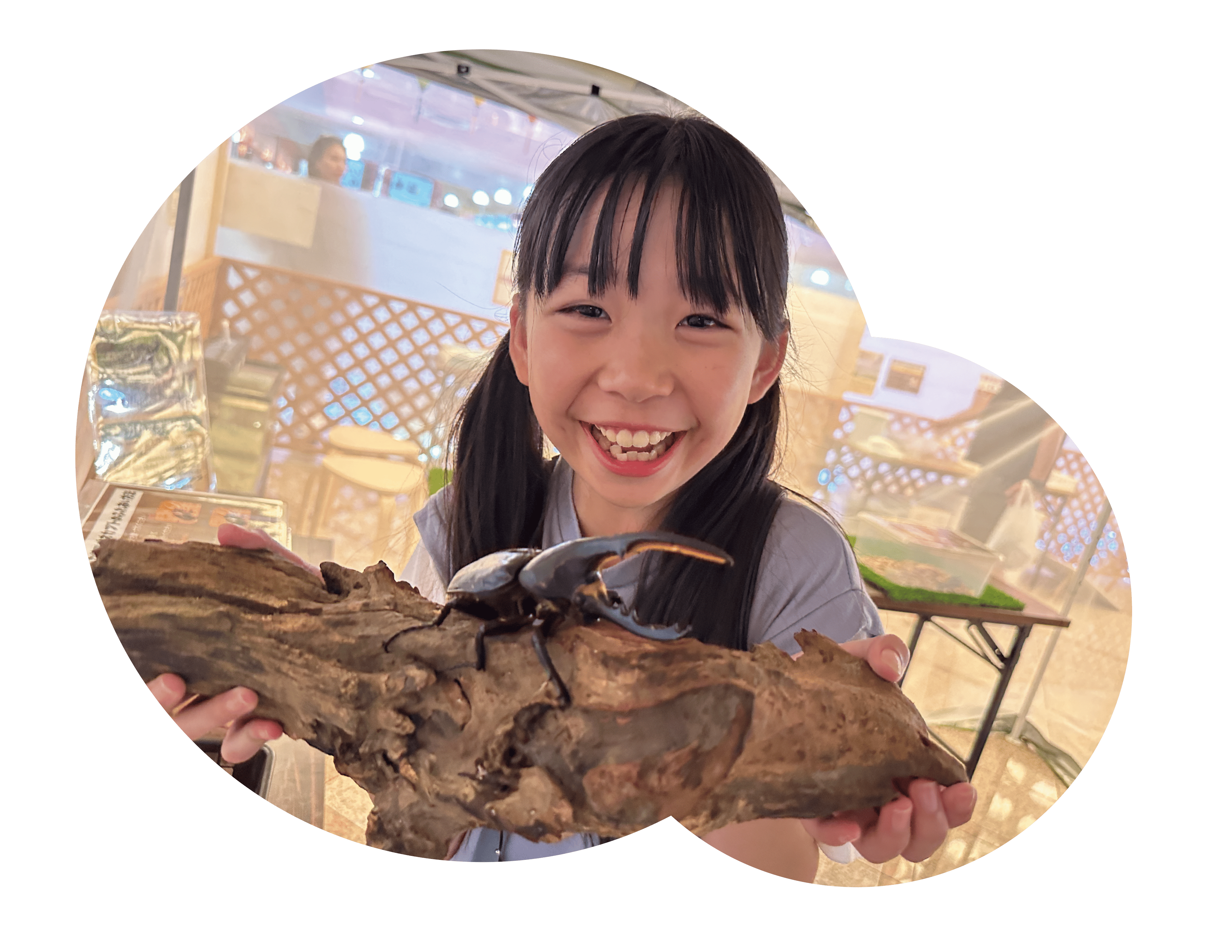 子どもがカブトムシと触れ合う様子