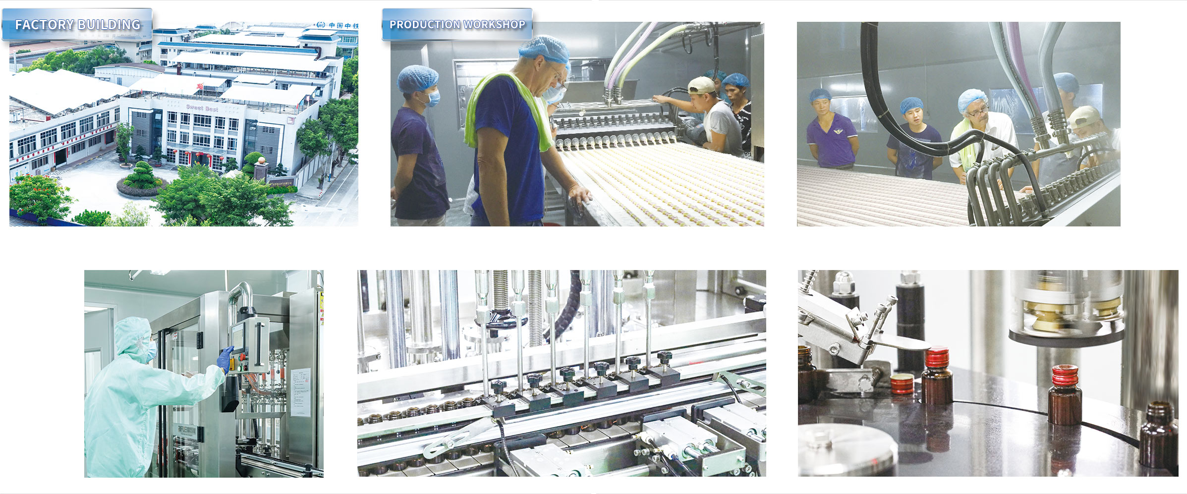 Factory Building and Production Workshop