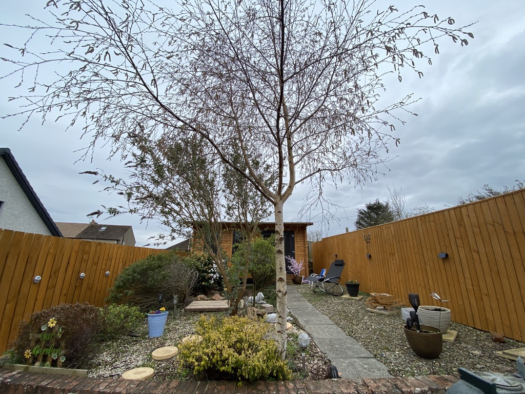 Beautifully transformed garden in Craigrothie with painted fence, masonry, and solar lighting