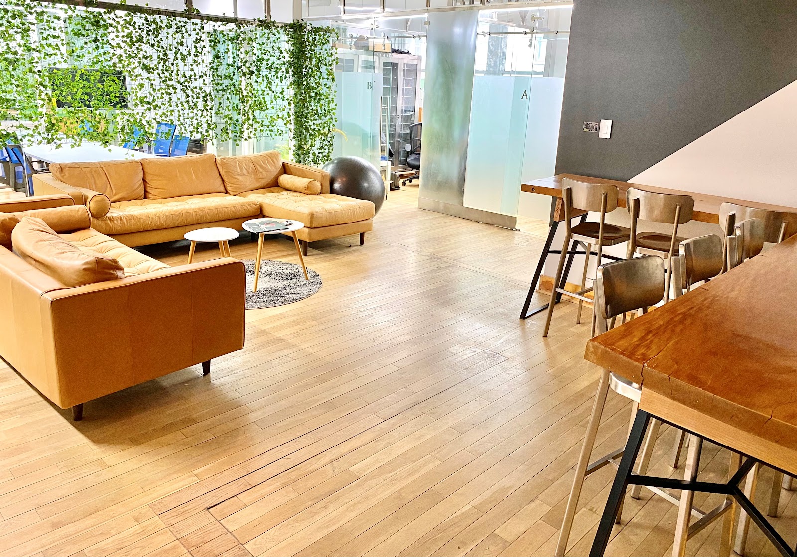 Timely Spaces lounge with camel tan leather sectional sofas, live-edge wood high-top bar table with wooden stools, hanging ivy vine curtain room divider, frosted glass meeting room partitions, dark grey accent wall, and light hardwood floors