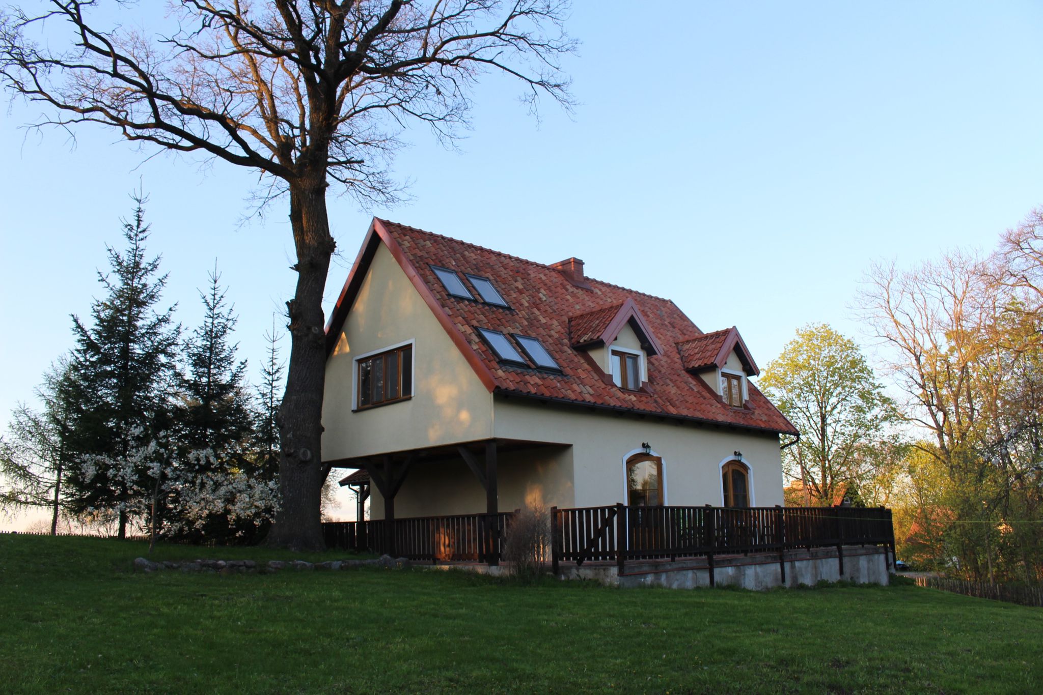 Widok na dom z kwitnącym drzewem