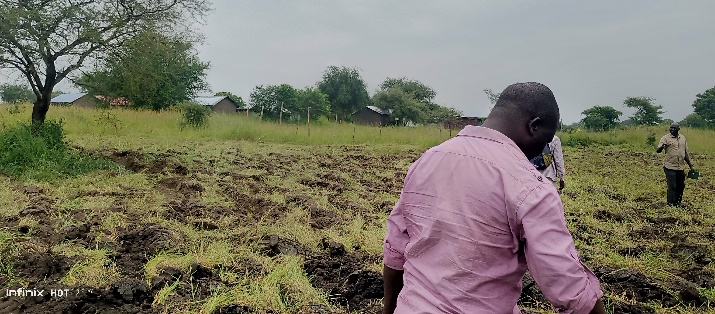 Field Assessment