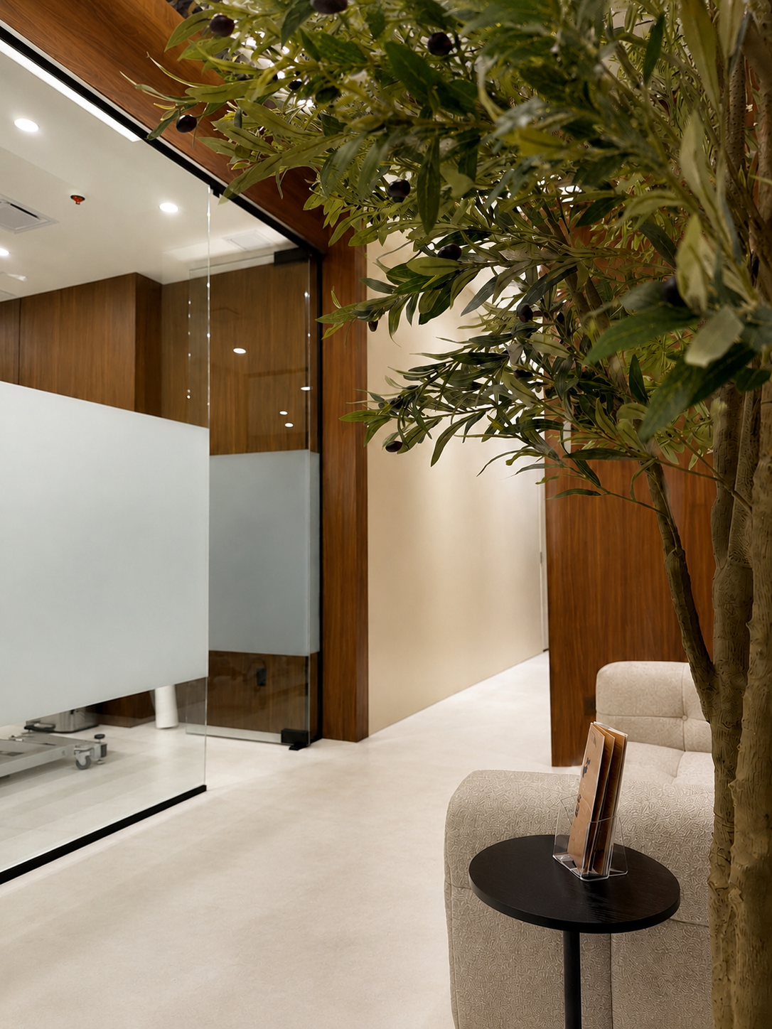 Luxury aesthetic clinic interior with modern design and natural elements