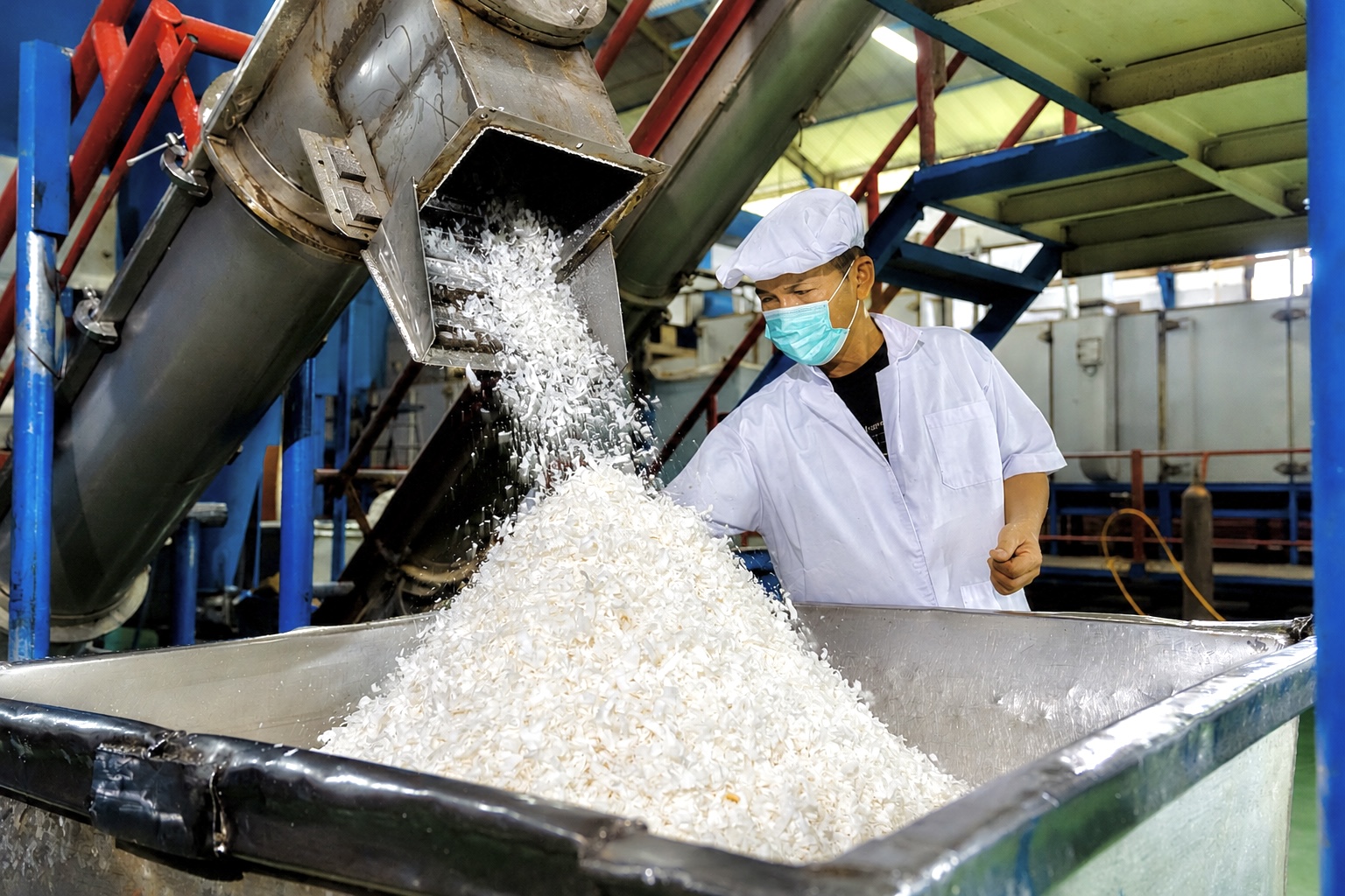Professional desiccated coconut processing and drying equipment