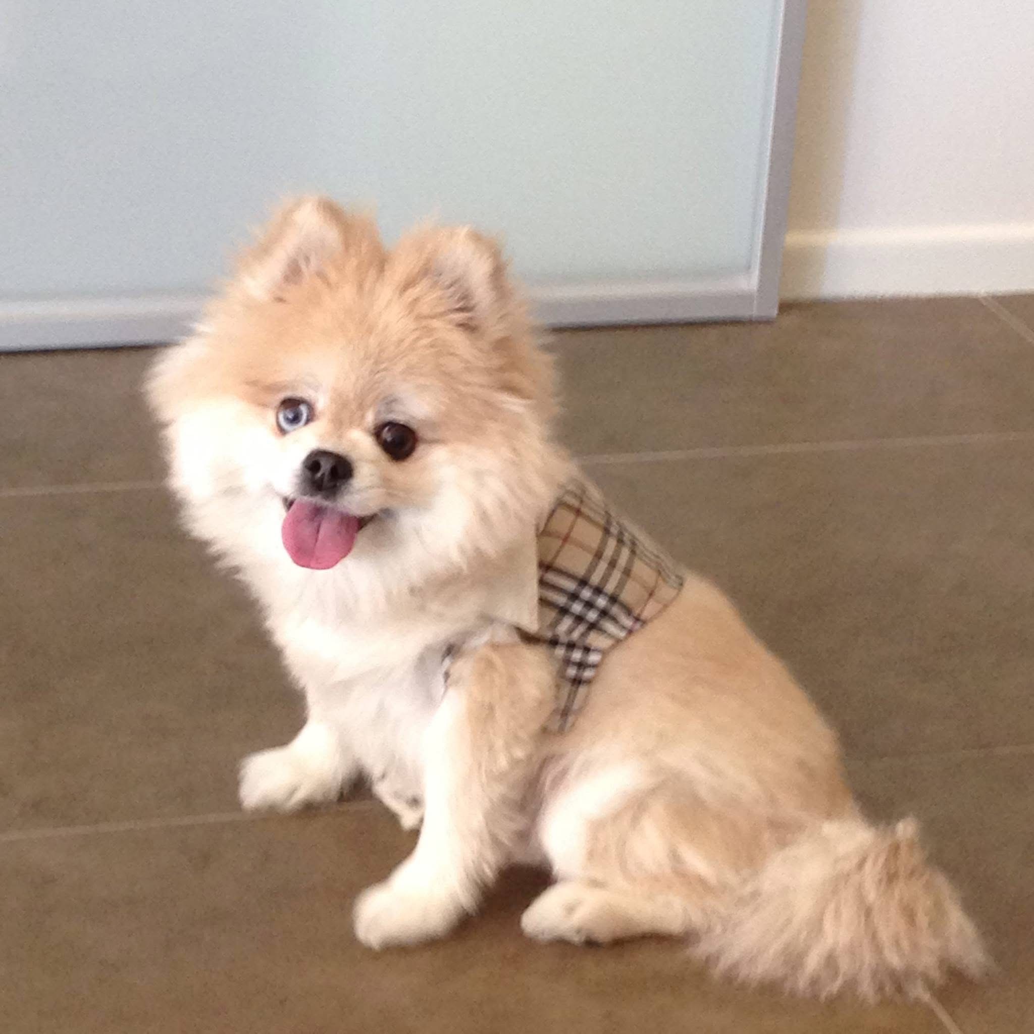 Cashy sitting happy with Burberry bandana