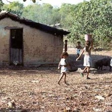 Kinder und Schwein vor einer Lehmhütte
