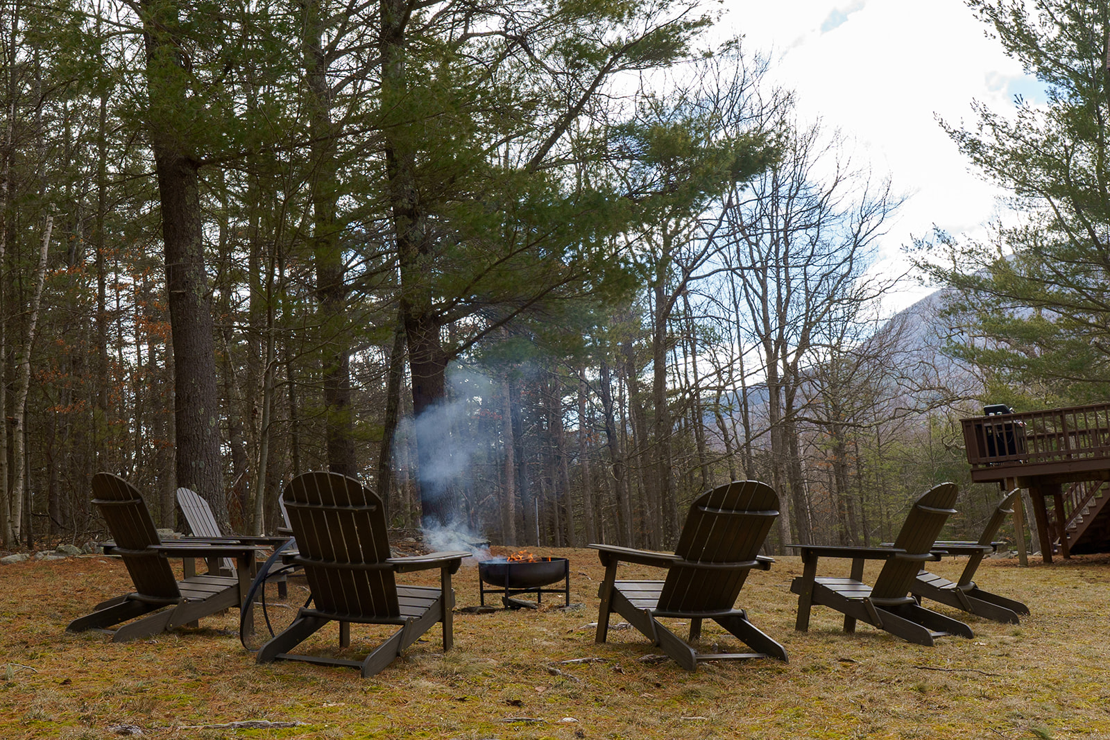 Outdoor fire pit with Adirondack chairs surrounded by pine trees
