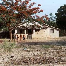 Weißes Gehöft mit rotem Blütenbaum