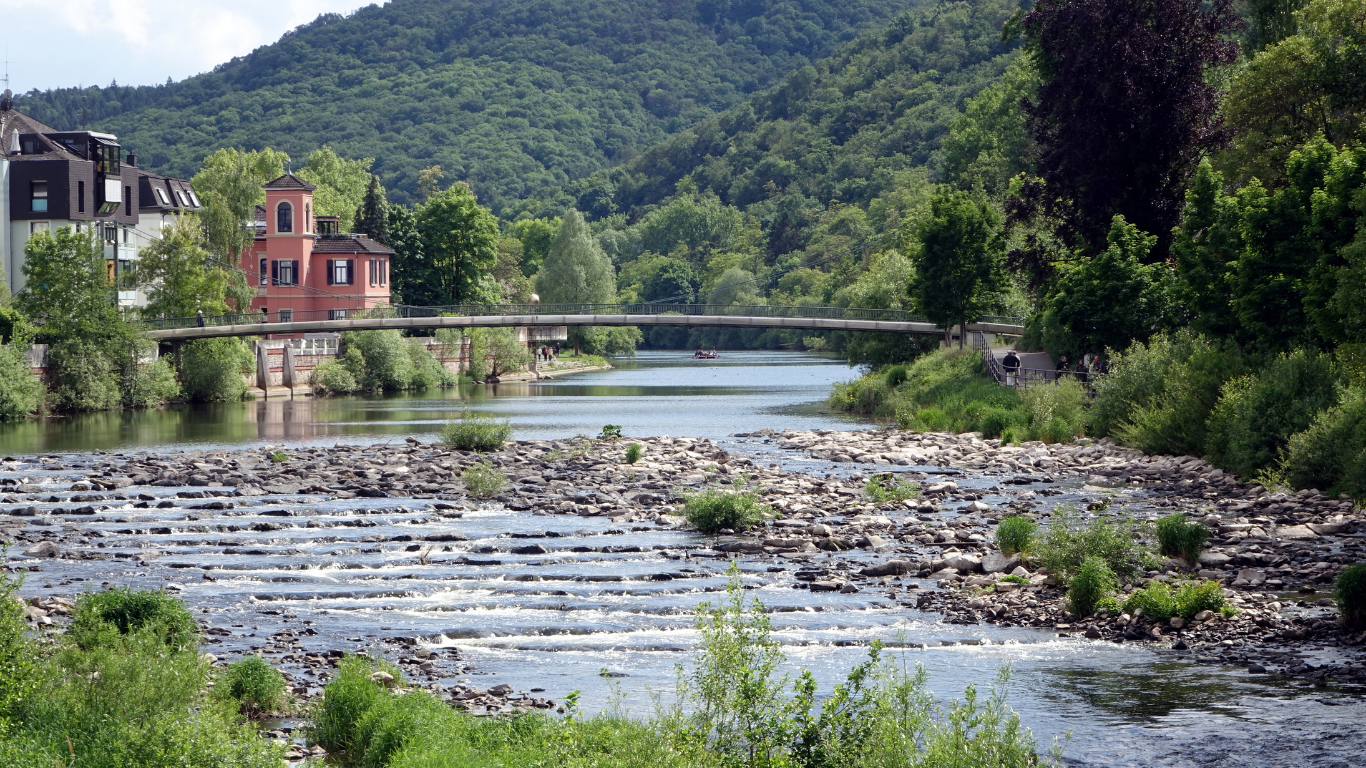 Naheufer mit flachem Wasserlauf und Wald