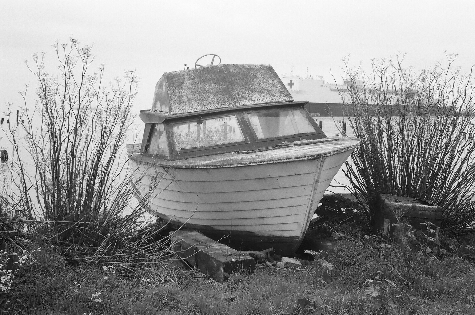 Abandoned white wooden boat with cabin abandoned on shore surrounded by dried brush and vegetation overcast coastal scene