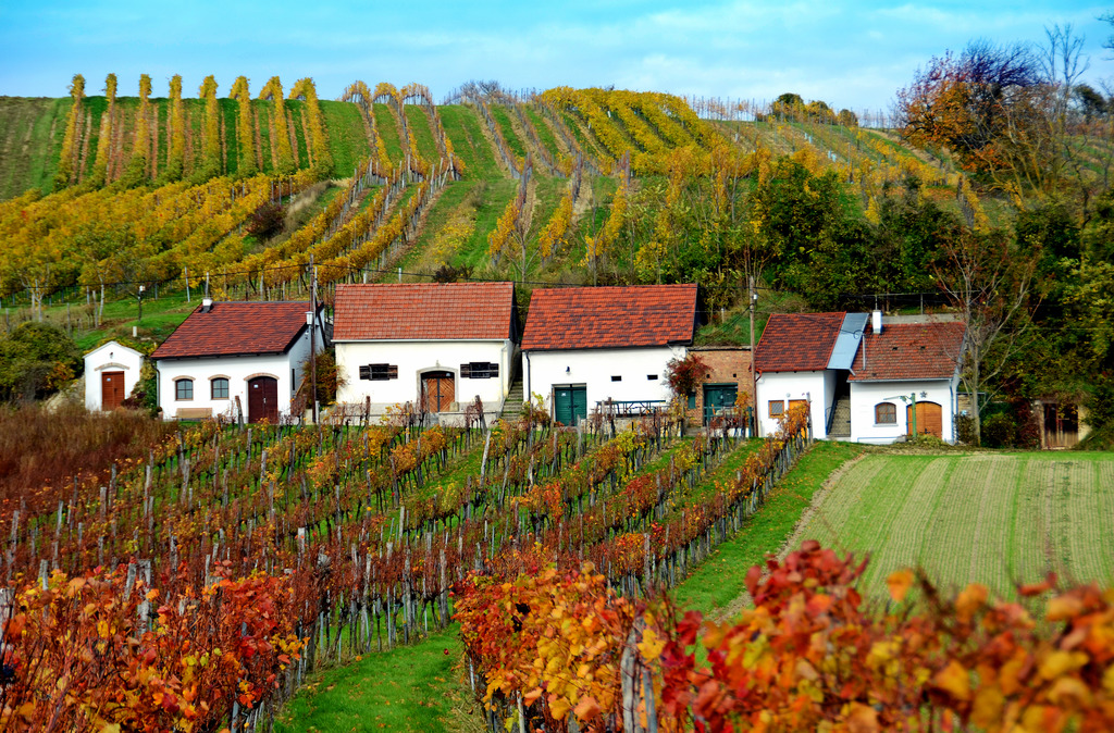 Freizeitmöglichkeiten in Enzersfeld