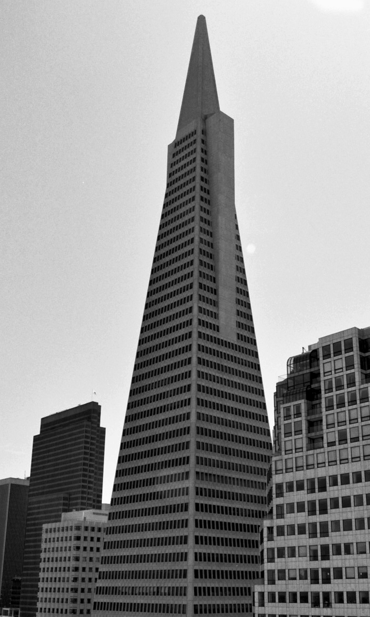 Transamerica Pyramid tower shot from street level showing distinctive tapered triangular form against sky