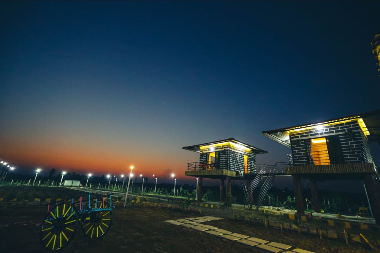 Illuminated treehouse cottages at dusk