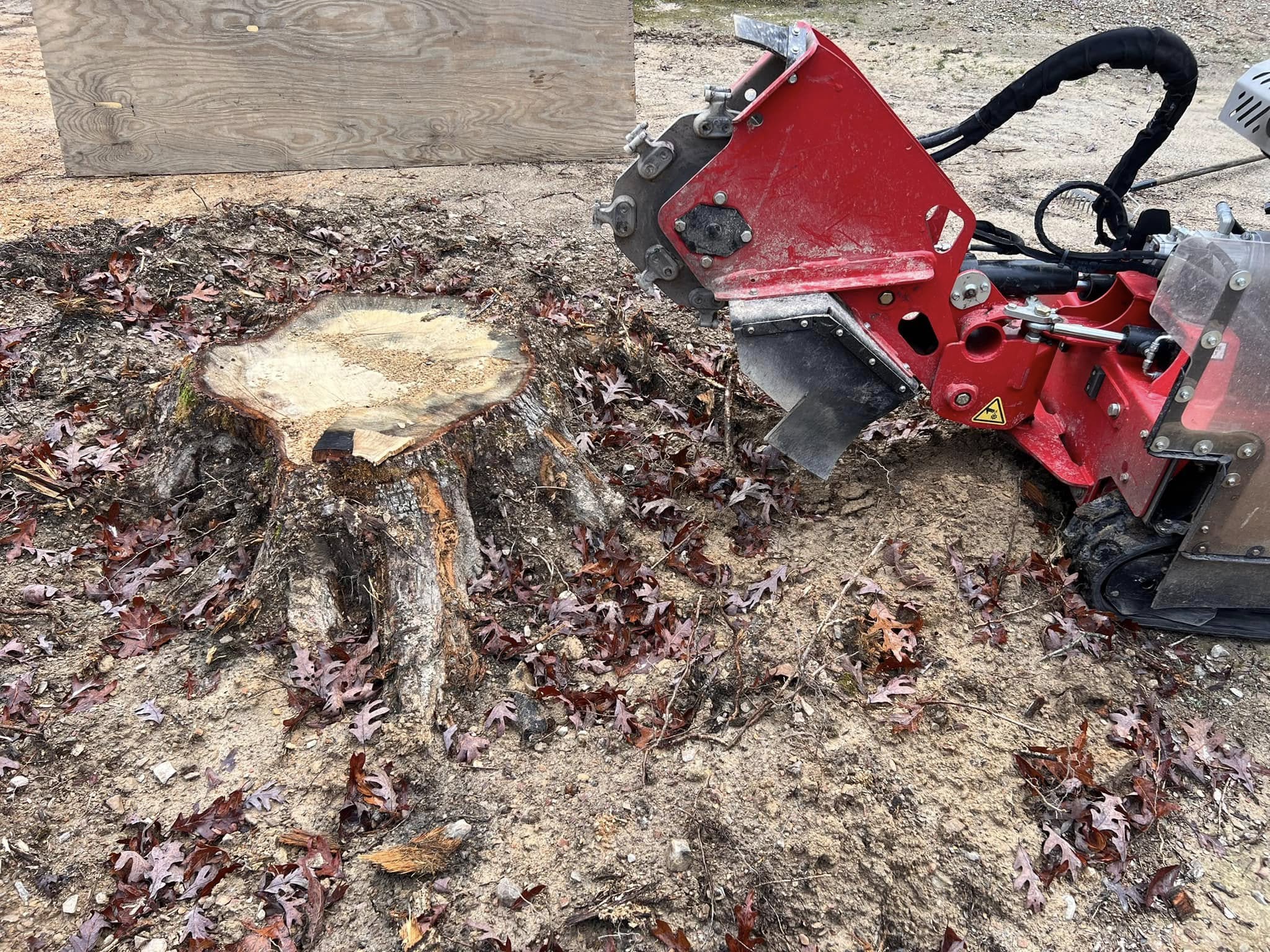 Grinder blade approaching tree stump covered in fall leaves