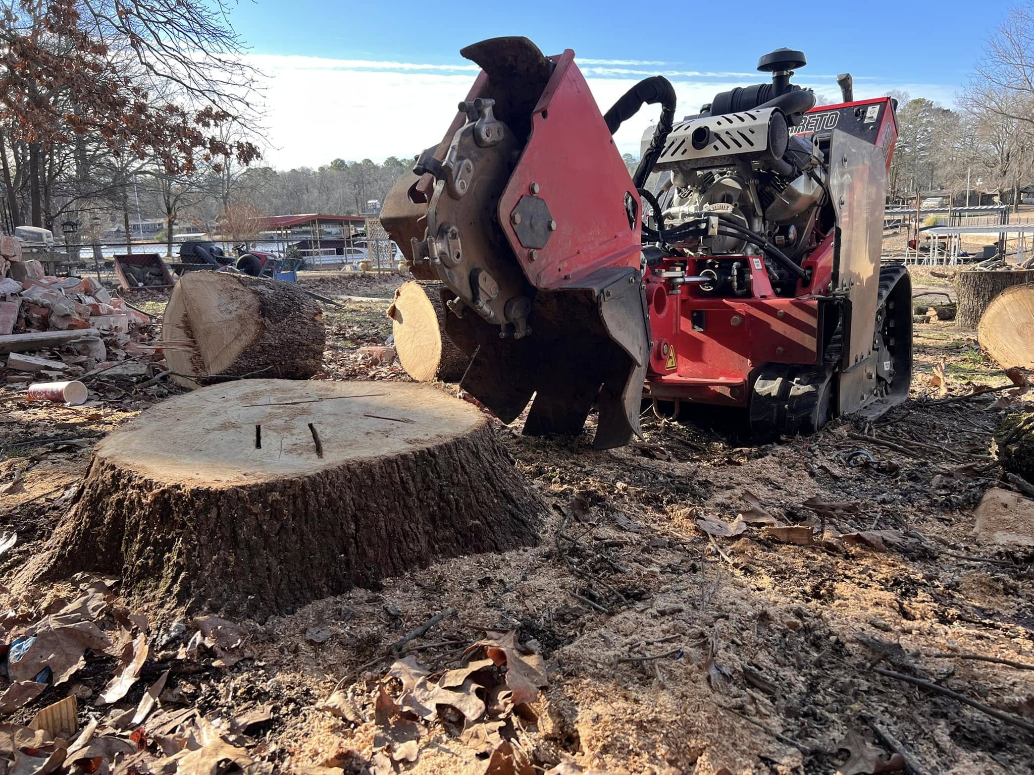 Close-up of Barreto grinder cutting into large stump with multiple stumps visible in lakeside setting