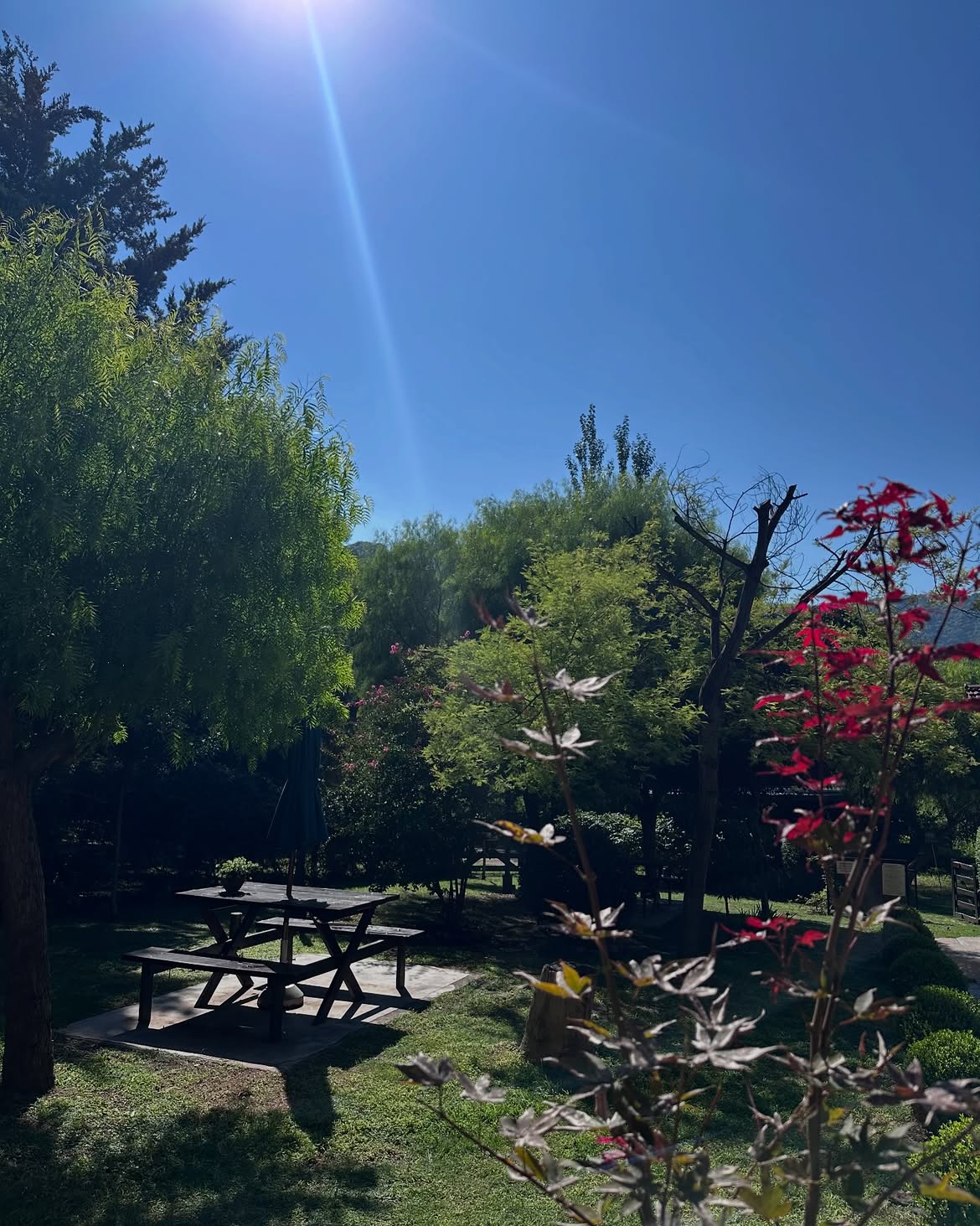 Parque con mesa de picnic y jardines