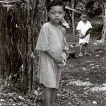 Junge steht neben einem Baum auf dem Land