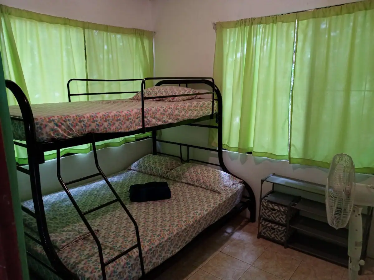 Litera con camas vestidas y cortinas verdes en la habitación