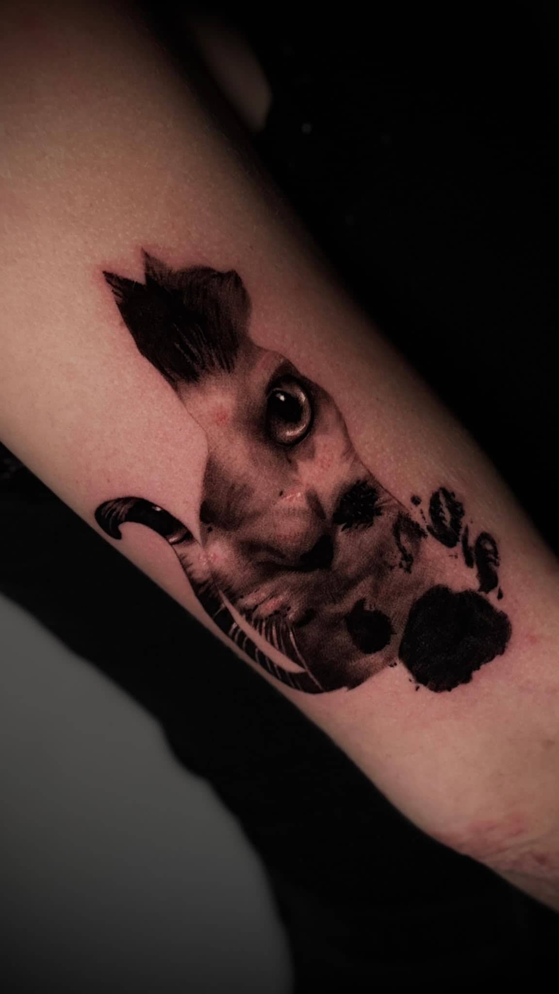 Black and Grey realistisches Katzen-Portrait mit Tintenspritzern am Unterarm