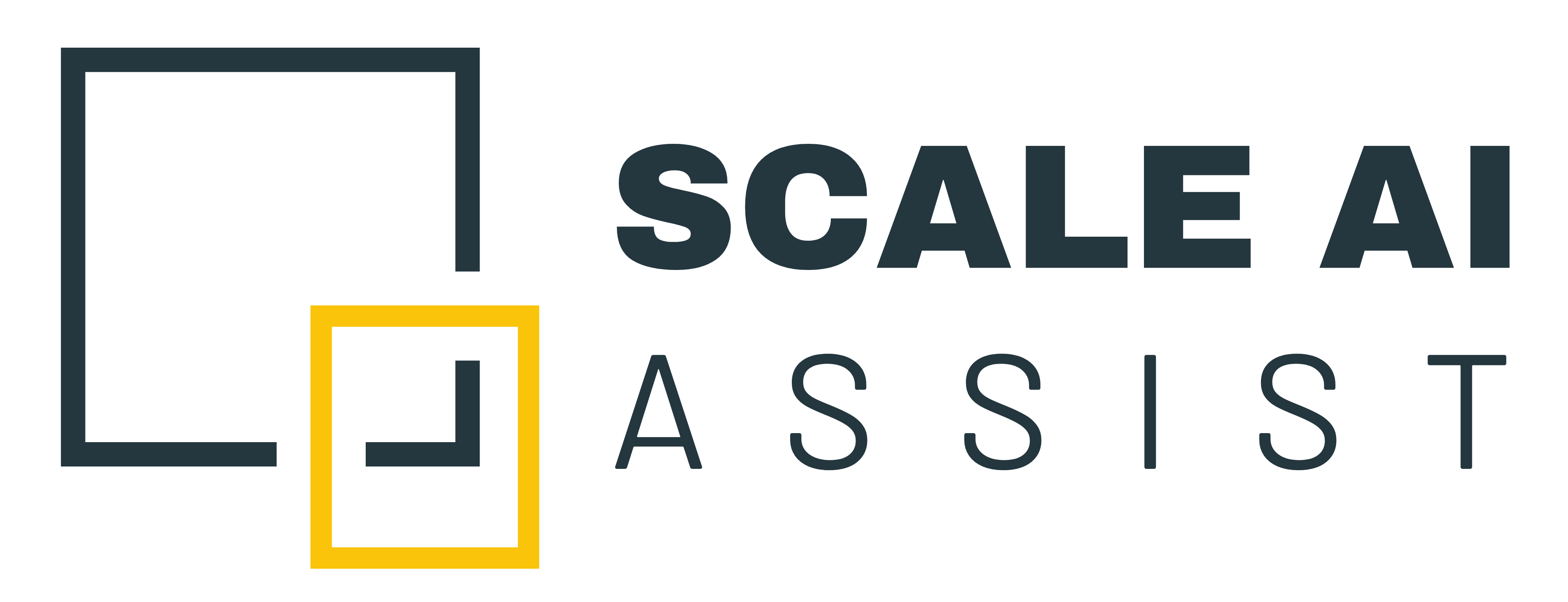 Scale AI Assist