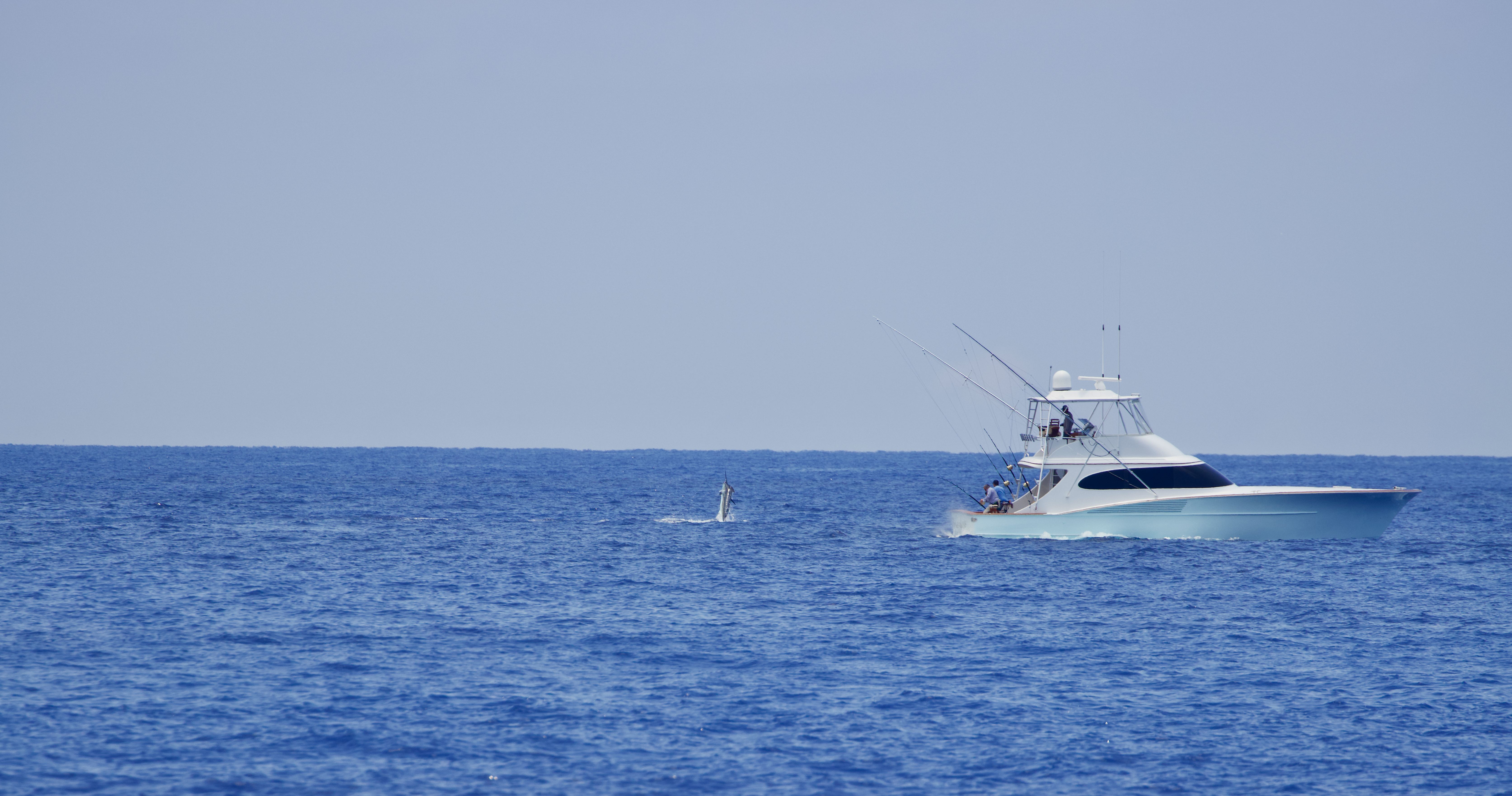 Sport fishing yacht pursuing a jumping marlin in Hawaiian waters