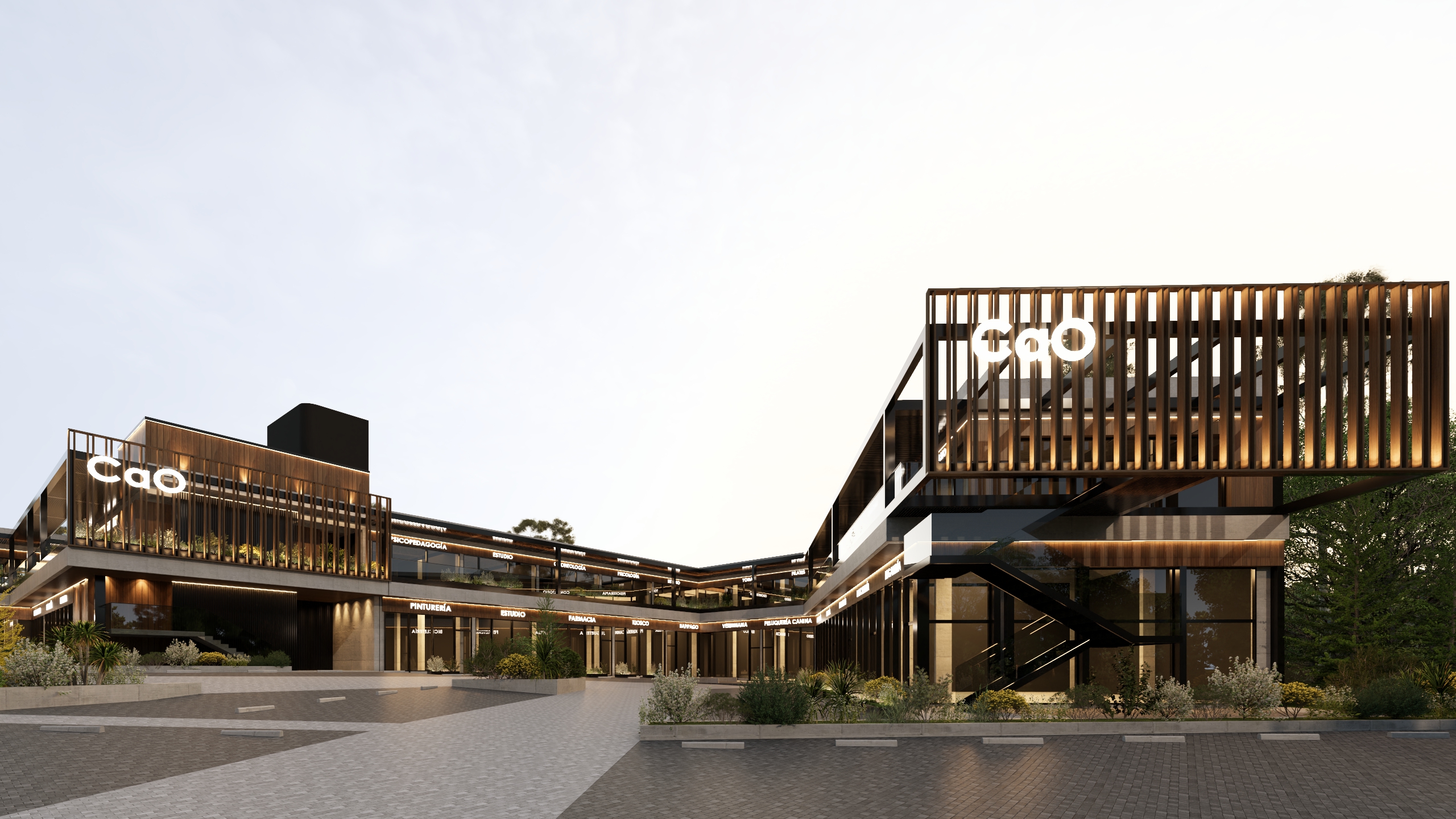 CAO Paseo Comercial - Vista panorámica del complejo