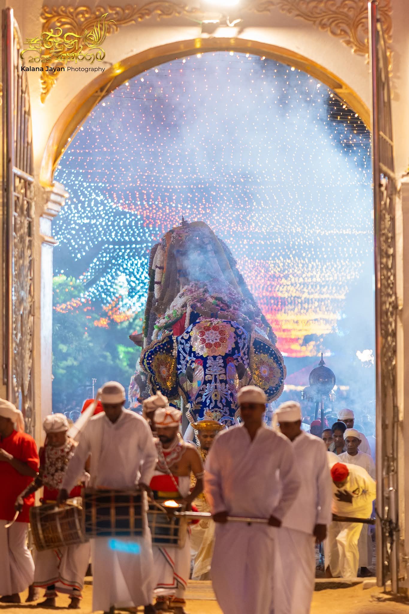 Elephant procession with lights