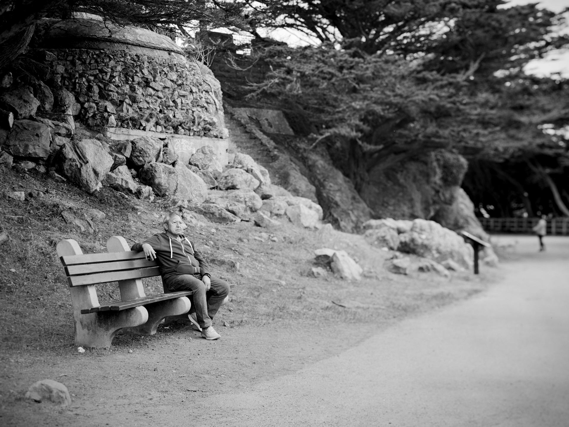Man sitting alone on park bench beside rocky coastal hillside with cypress trees along curved path