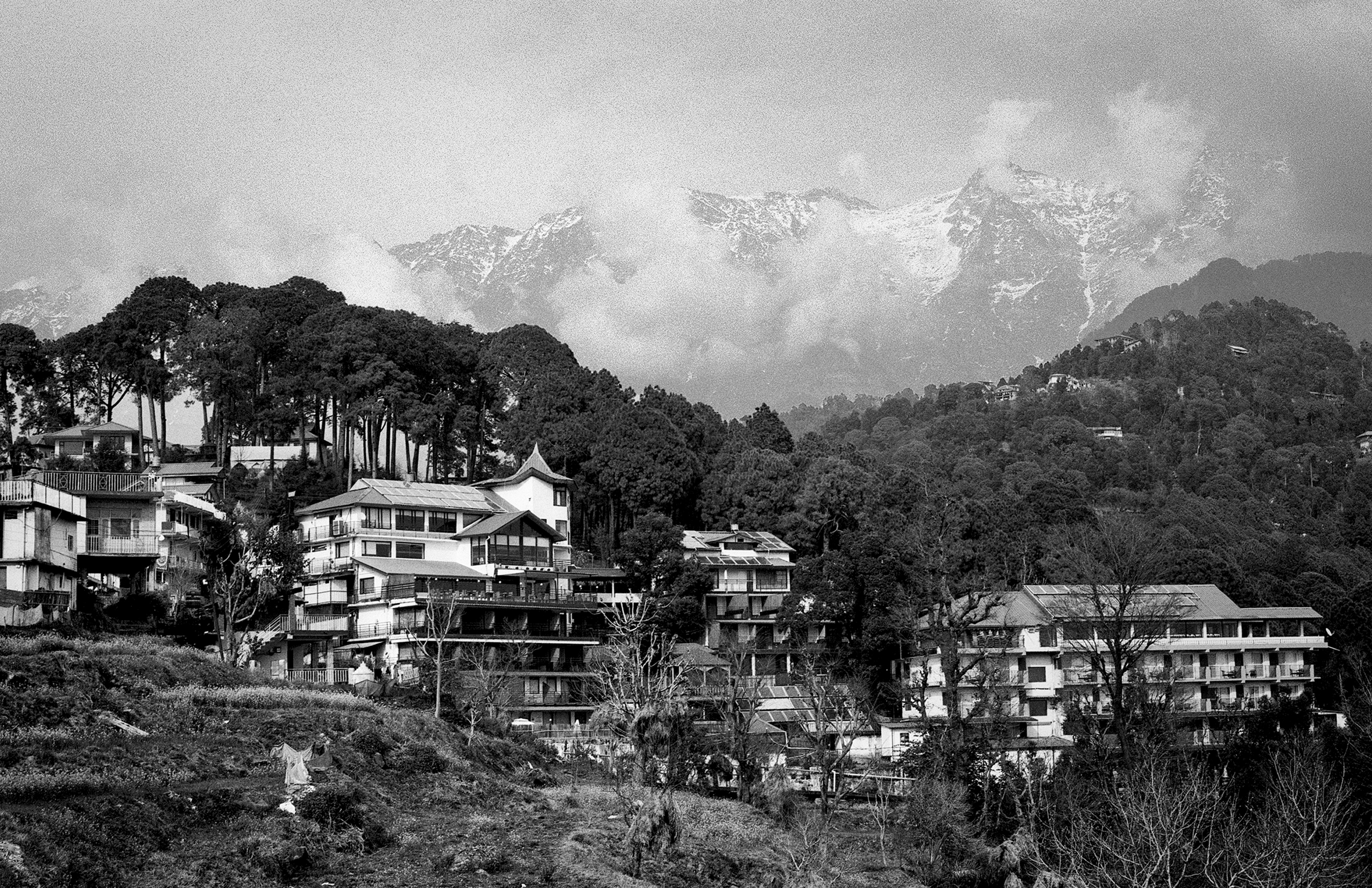 Dharamsala hillside town with snow-capped Himalayan mountains in background