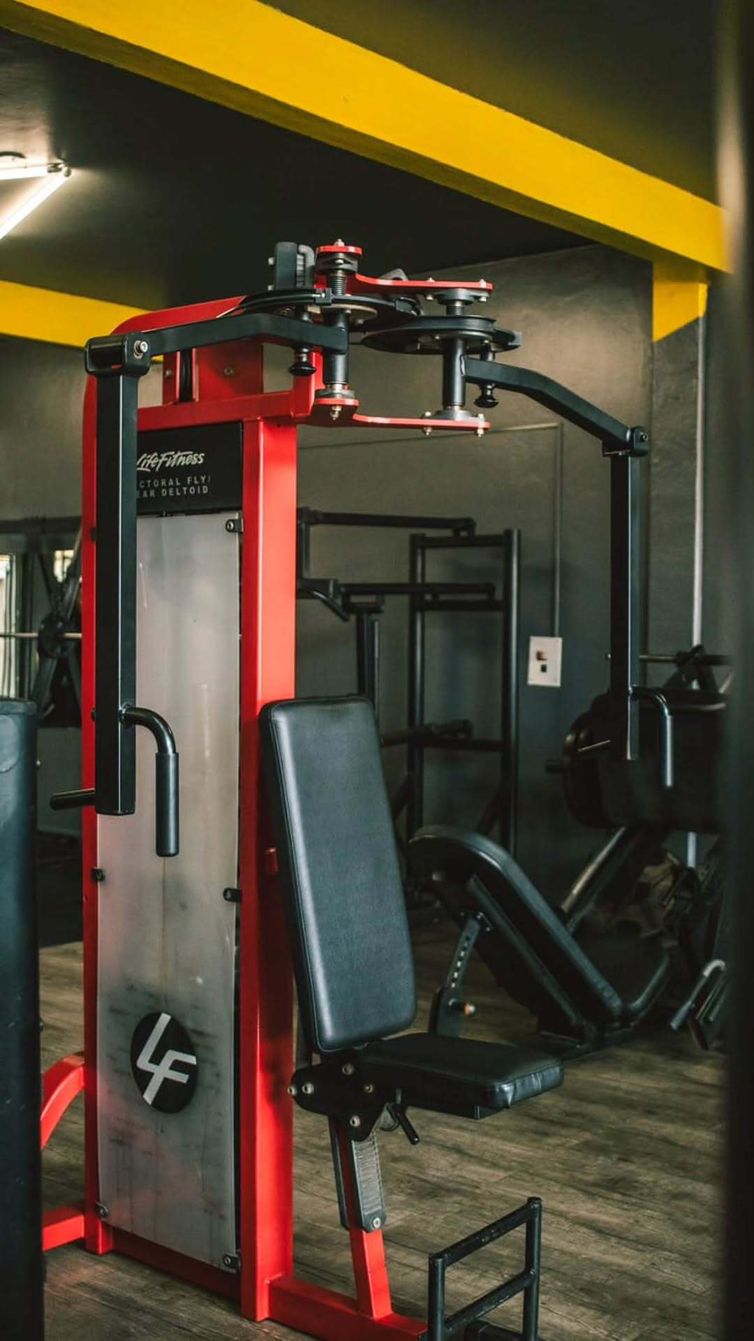 Equipamento Life Fitness de alta qualidade