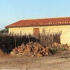 Lehmhaus mit rotem Ziegeldach und Kaktuszaun