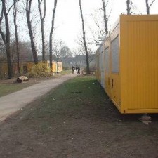 Gelbe Container auf dem Parkgelände, kahle Winterbäume