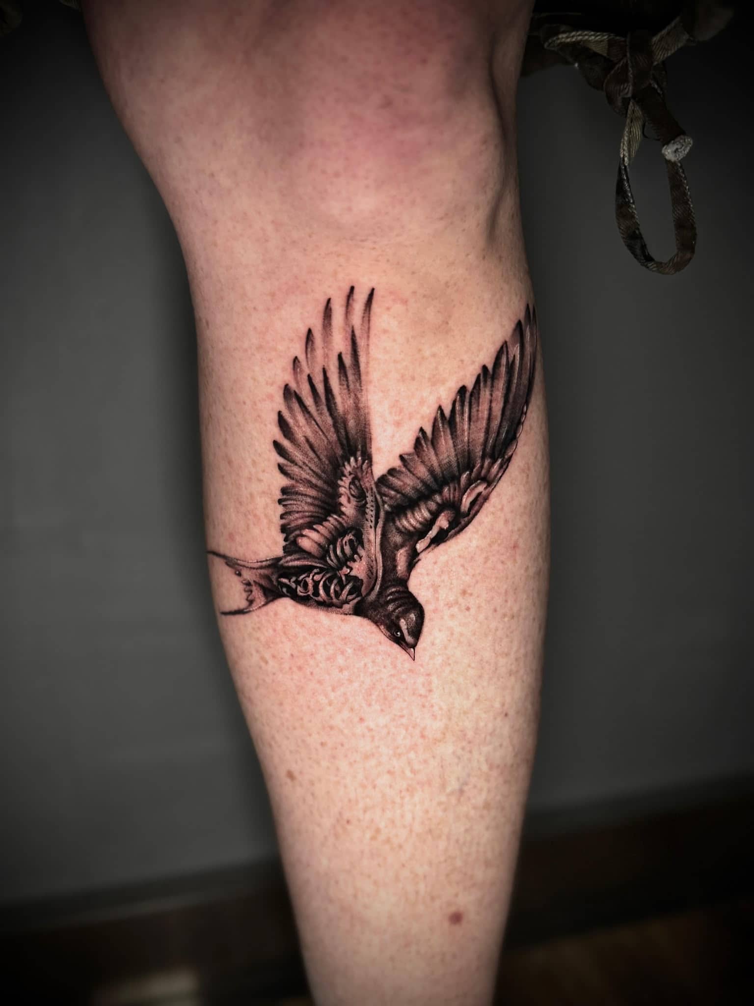 Black and Grey realistischer Schwalbe im Flug an der Wade