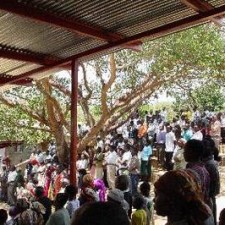 Große Versammlung unter einem Wellblechdach zwischen alten Bäumen