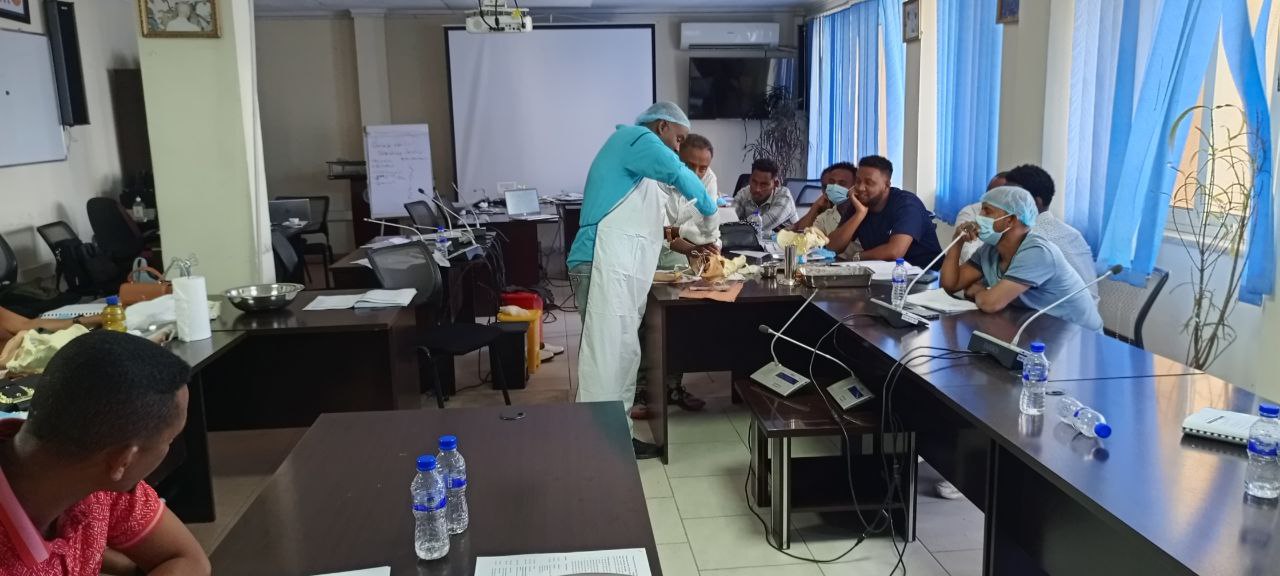 Healthcare training