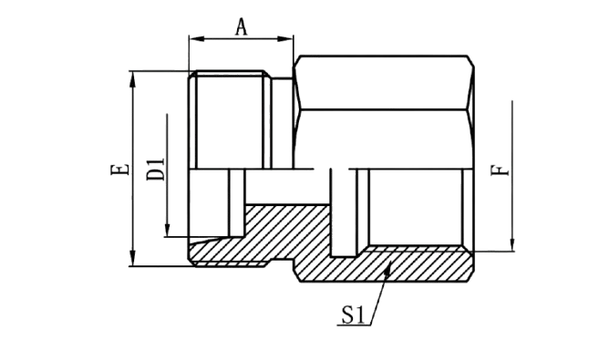 5CM - Metric Male 24°L.T. × Metric Female