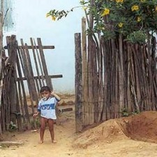 Kleinkind am Holzzauntor mit Blütenbaum