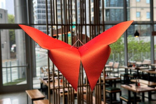 Wagamama gallery image 7