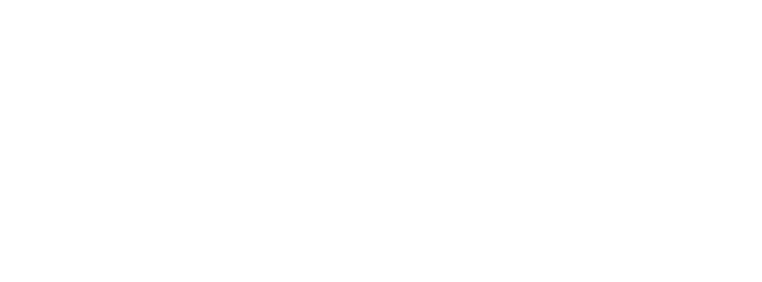 Ottimizza