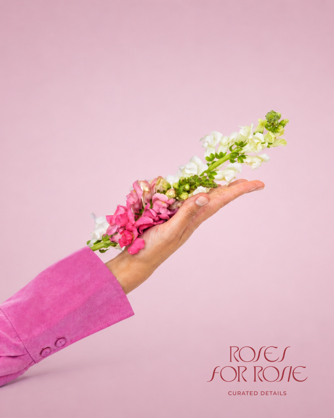 Mano sosteniendo flores rosas y blancas sobre fondo rosa - Roses for Rosie