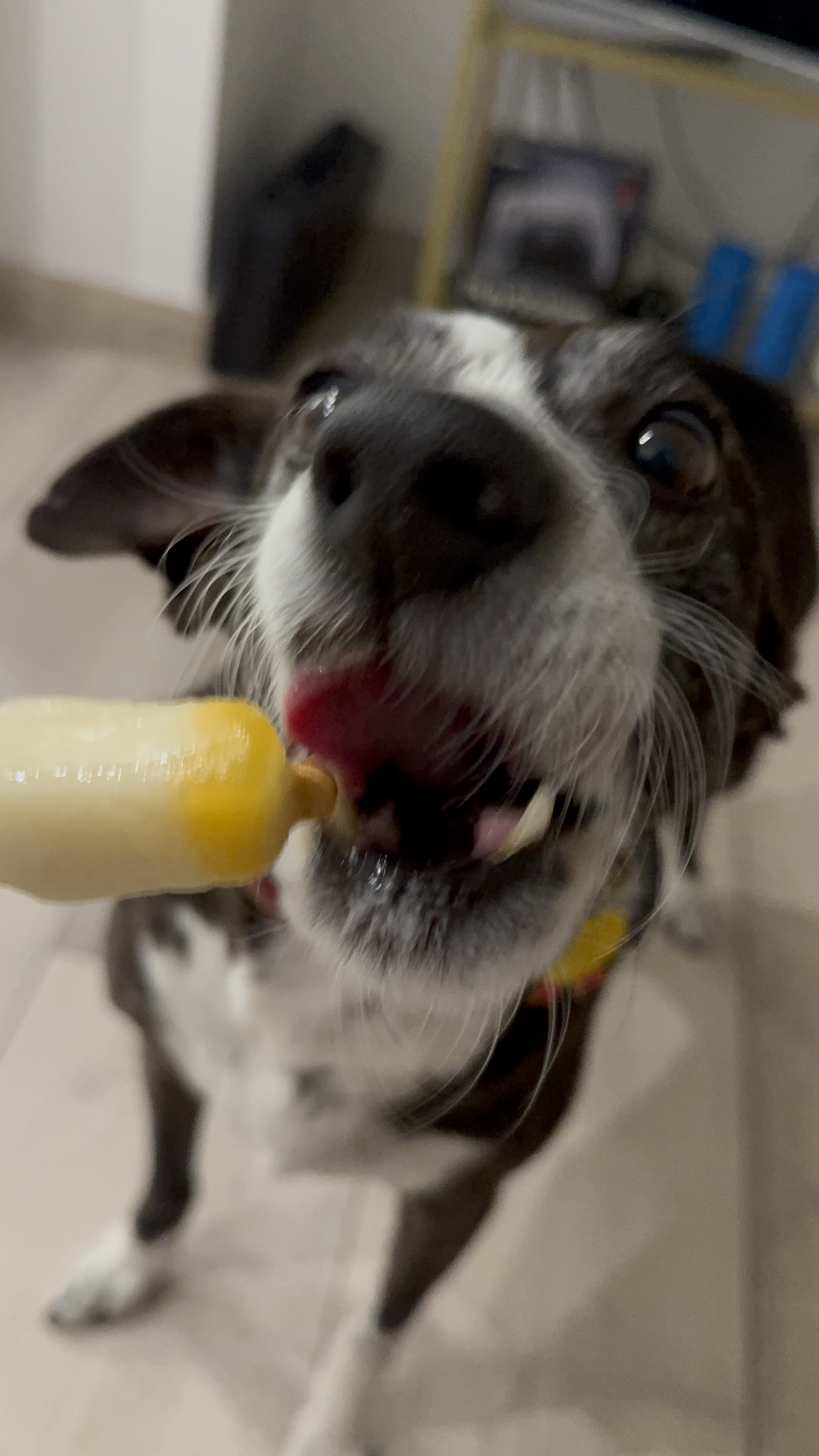 Close-up of Sukuna licking the ice lolly with his tongue out