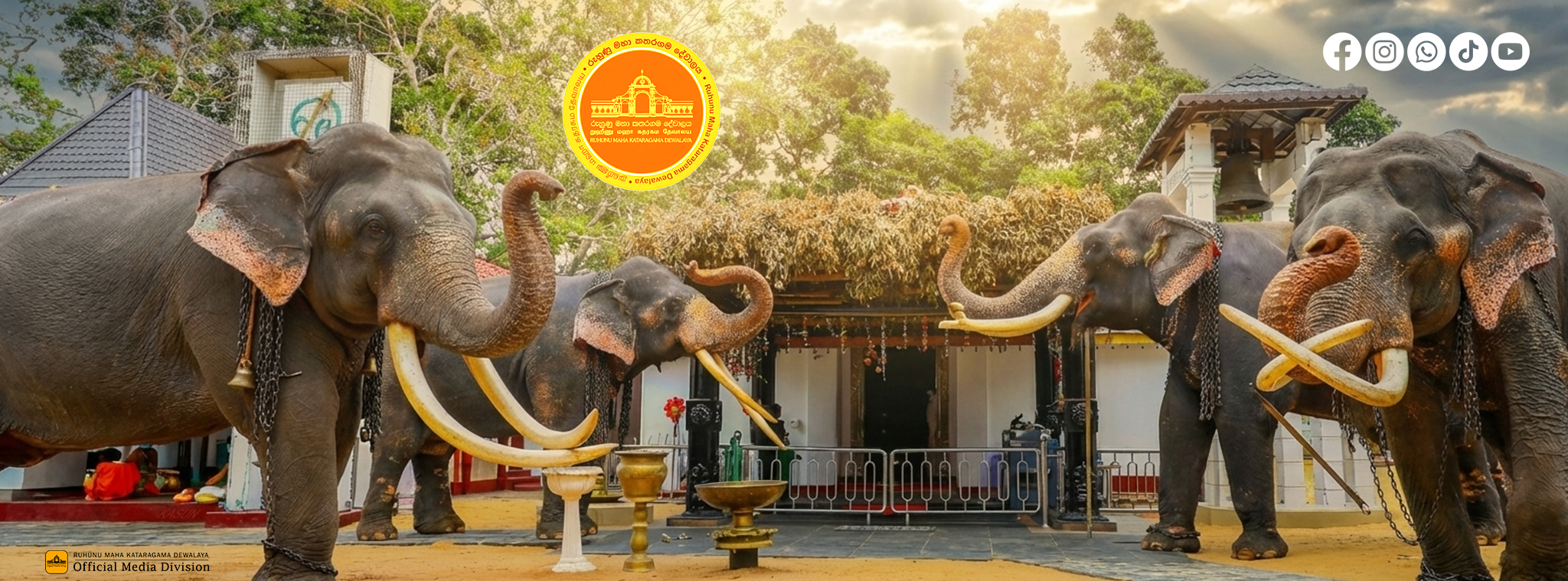 Temple elephants at Kataragama