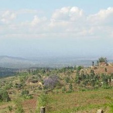Weite Landschaft der Region Makuyu mit Hügeln, Dorf und blühendem Jacaranda-Baum